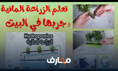 الزراعة المائية