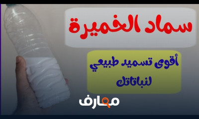 طريقة التسميد الورقي للنباتات