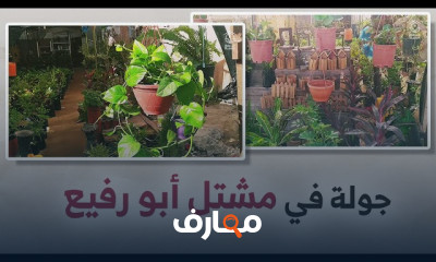 خطوات تجهيز أحواض الزراعة