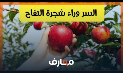 زراعة التفاح من البذور