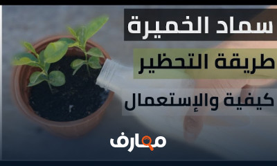 طريقة تحضير سماد الخميرة