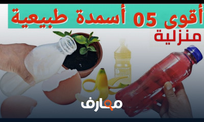 مواعيد زراعة المحاصيل الزراعية