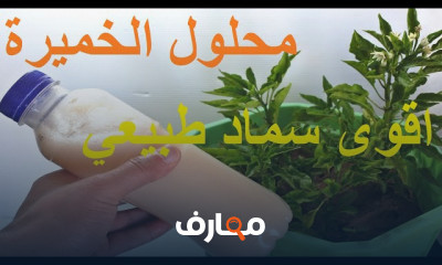 صناعة السماد الطبيعي للنباتات