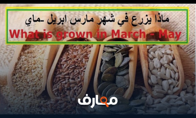 مواعيد الزراعة الشهرية