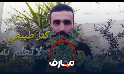 طريقة استخدام نبات الخرفيش