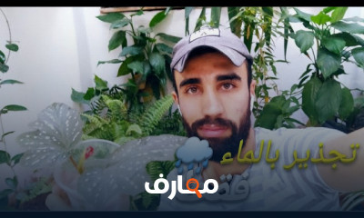 زراعة نبات المكحلة المعلق