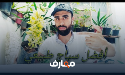 زراعة ورد الجوري القزمي