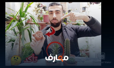 حماية النباتات من البرد