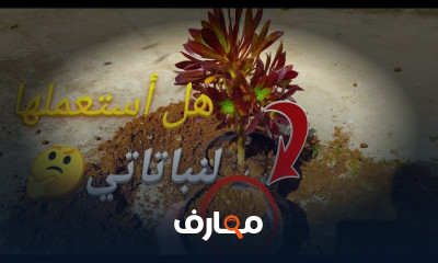 استخدام الفحم الحيوي للنباتات