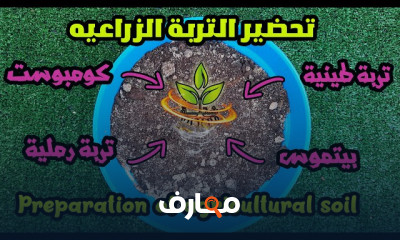 تحضير التربة لزراعة البذور