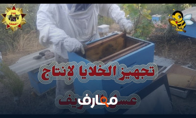 كيفية إنتاج عسل الخريف