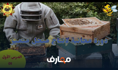 مشروع تربية النحل