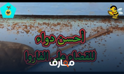 طريقة القضاء على الفاروا