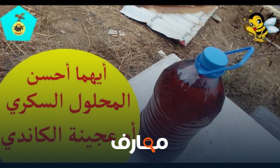 طريقة تجيش النحل