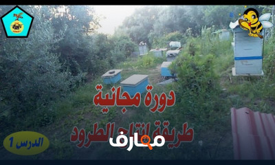 طريقة توسيع المنحل