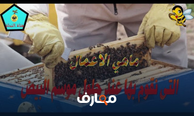كيفية تنظيف خلية النحل