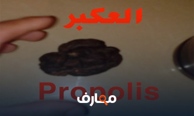 طريقة استخلاص شمع النحل