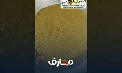 محتويات خلية النحل الطبيعية