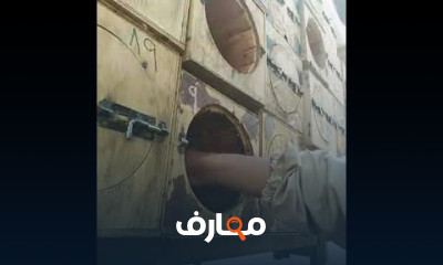 خطوات قص الخلايا البلدية للنحل