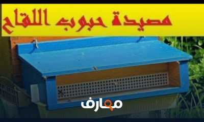 طرق حفظ حبوب اللقاح