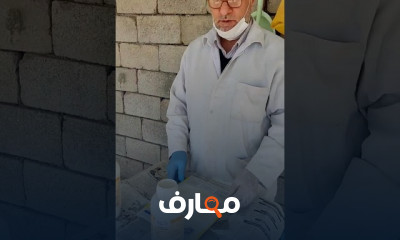 كيفية جمع النحل لحبوب اللقاح