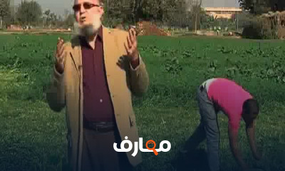 زراعة البرسيم