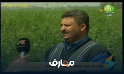 زراعة الفول البلدى