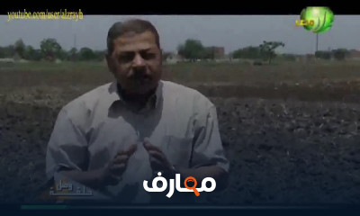 زراعة السمسم