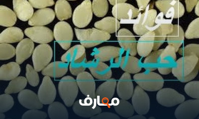 فوائد زراعة الريحان