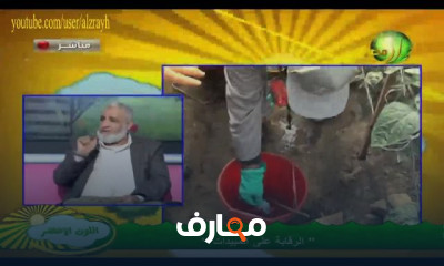 كيفية رش المبيدات الزراعية