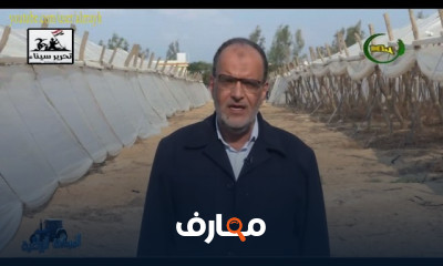 زراعة الخوخ