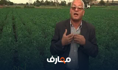 زراعة الفول و البقوليات