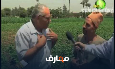 زراعة نبات الكانولا