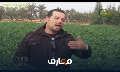 زراعة الكرنب الملفوف