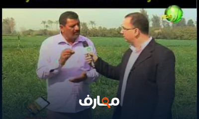 كيفية زراعة البطاطس