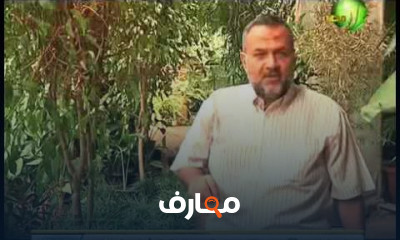 كيفية زراعة الطماطم