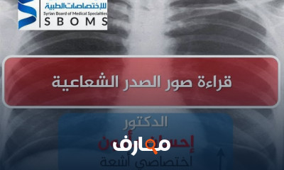 أساسيات إيكو البطن والحوض