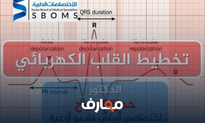 أساسيات تخطيط القلب الكهربائي