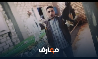 طريقة تلقيح الأرانب