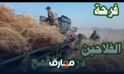 طريقه زراعة البسلة