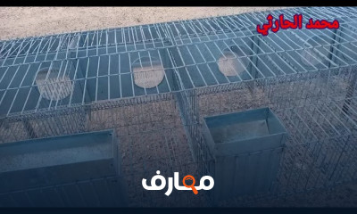 طريقة صنع أقفاص الأرانب