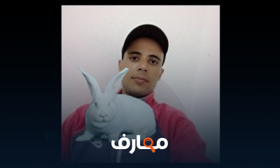 كيفية اختيار أرانب التربية