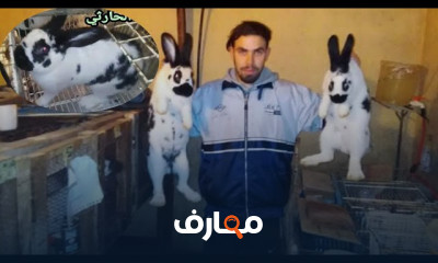 دراسة جدوى لمشروع تربية الأرانب