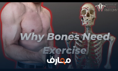 علاج تيبس وتجمد مفصل الكتف
