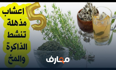 أعشاب لعلاج النسيان