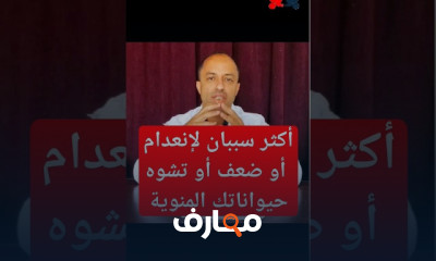 علاج تشوهات الحيوان المنوى