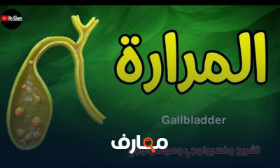 أعراض التهاب وحصوات المرارة