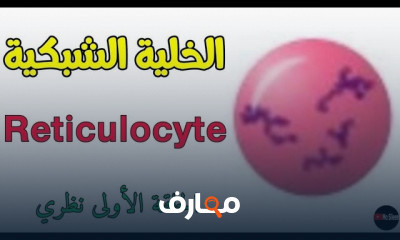 تحليل الخلايا الشبكية