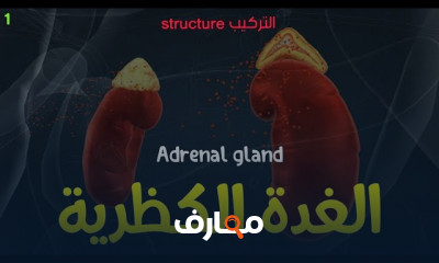 هرمونات الغدة الكظرية