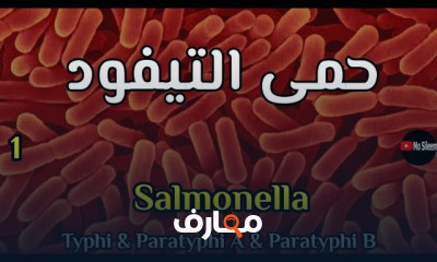 تحاليل حمى التيفود والسالمونيلا